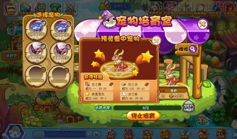 洛克王国洛克怎么升级