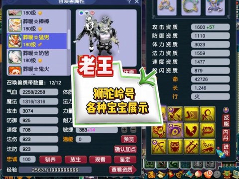 神武狮驼岭带什么宝宝[图1]