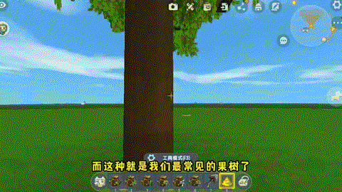 迷你世界的树苗怎么种[图1]