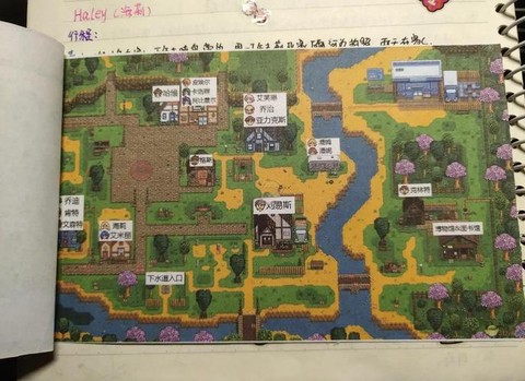 星露谷物语石子怎么弄