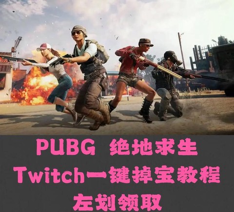 绝地求生游戏怎么玩啊[图2]