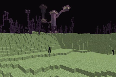 我的世界末地里有什么[图2]