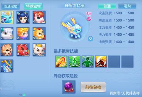 神武45级带什么宠