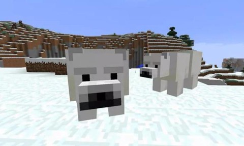 我的世界怎么驯服北极熊