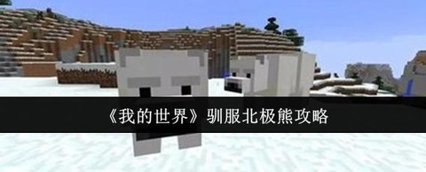 我的世界怎么驯服北极熊[图1]