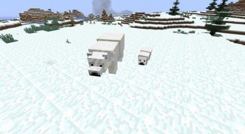 我的世界怎么驯服北极熊[图2]