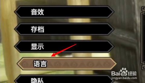 怪物猎人说的什么语言[图1]