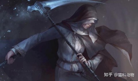 黑魂3怎么召唤白魂