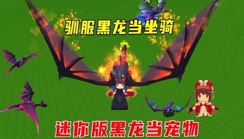 迷你世界上怎么驯服龙[图2]