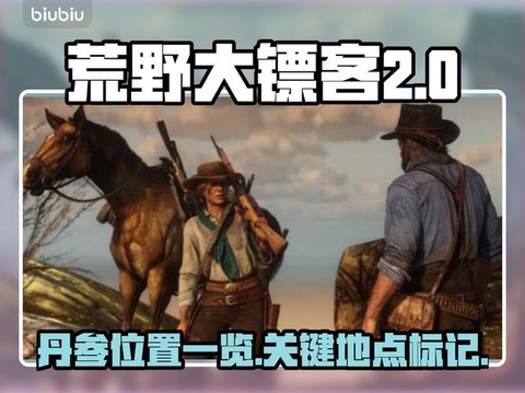 荒野大镖客笼子怎么开[图2]