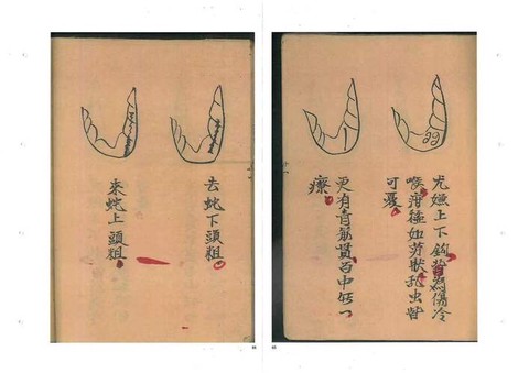 九阴真经明教怎么叛师