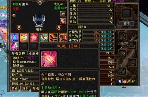 天龙八部怎么抓宝宝