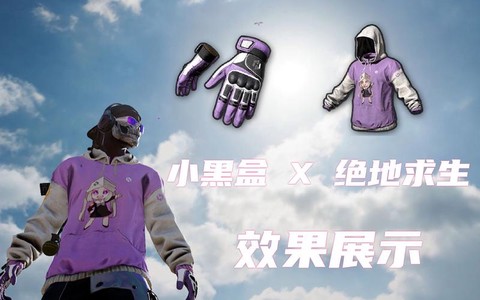 绝地求生小黑盒是什么[图2]