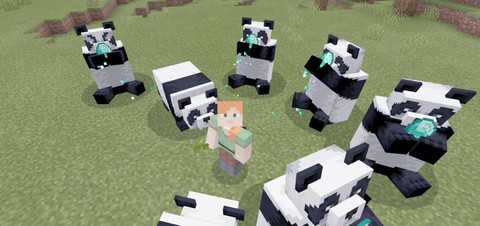 我的世界鹦鹉怎么做