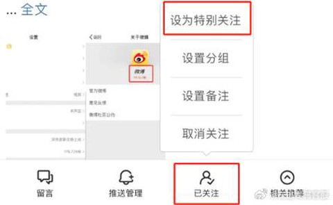 迷你世界怎么关注人